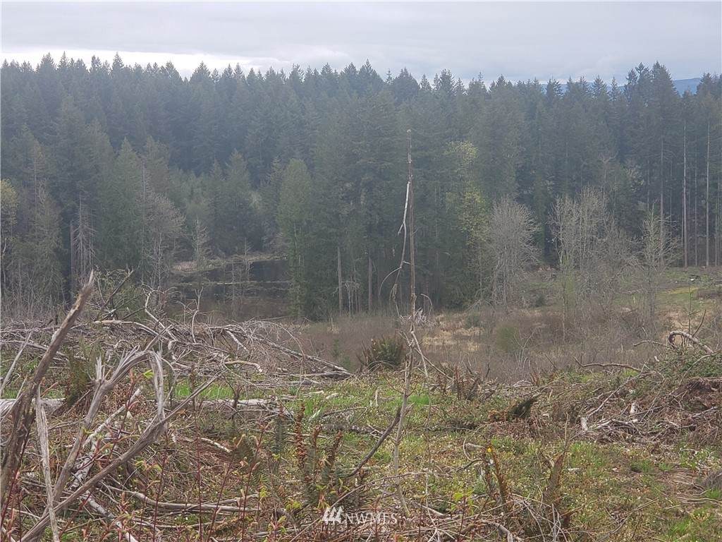 18711 Yates Road - Photo 1
