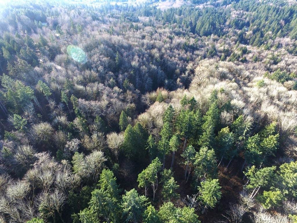 6 Forest View Lot 6 Lane - Photo 1 6 Forest View Lot 6 Lane - Photo 1