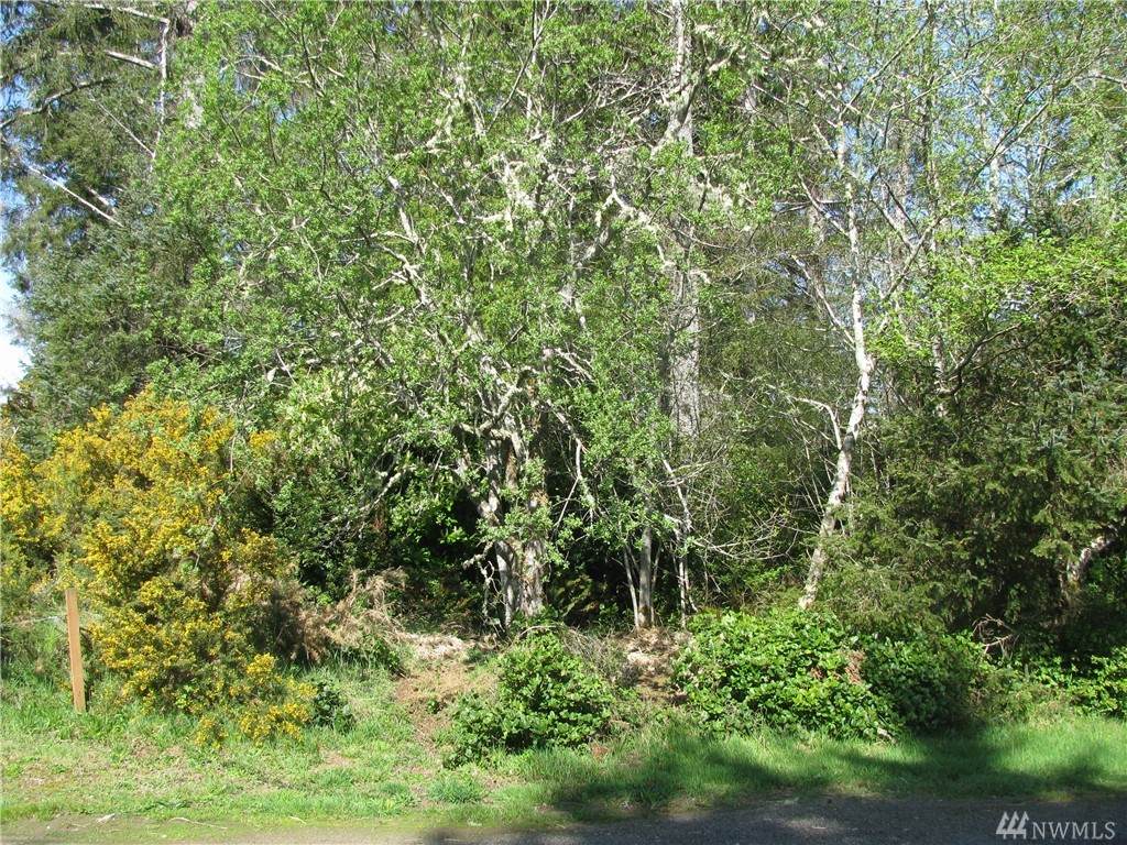 222-LOT Birch Place - Photo 1 222-LOT Birch Place - Photo 1