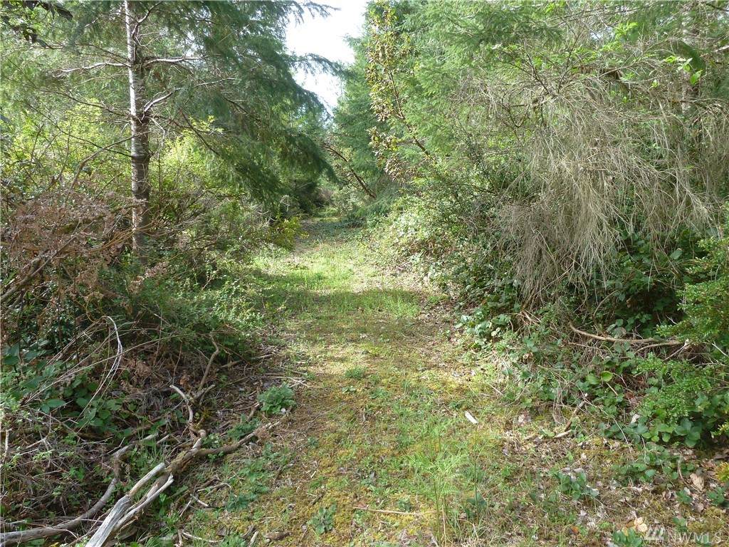 0-3 lots South Island Dr - Photo 1 0-3 lots South Island Dr - Photo 1