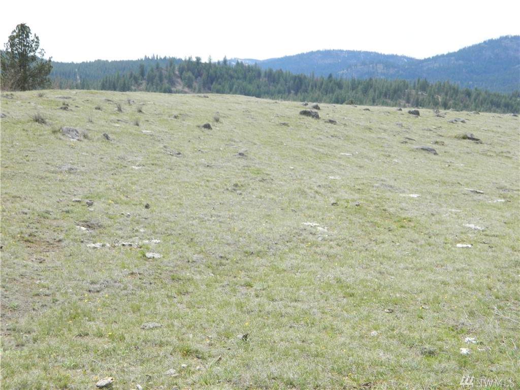 0 Tbd Aeneas Valley Rd - Photo 1 0 Tbd Aeneas Valley Rd - Photo 1