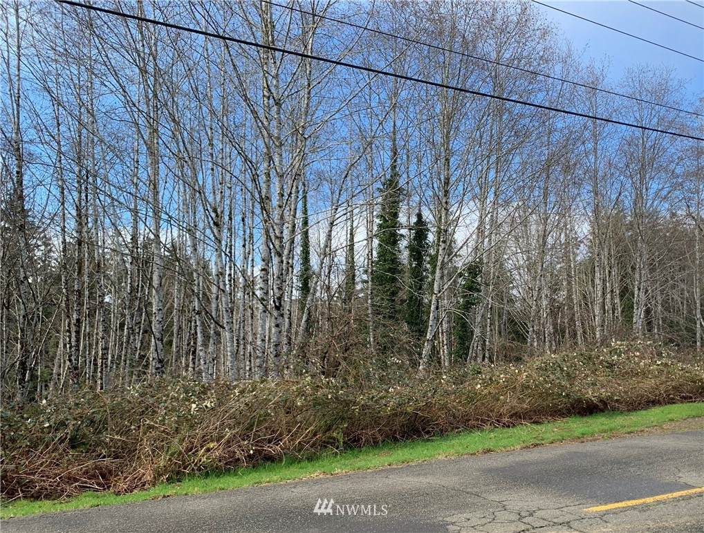 0 Raymond - South Bend Road - Photo 1