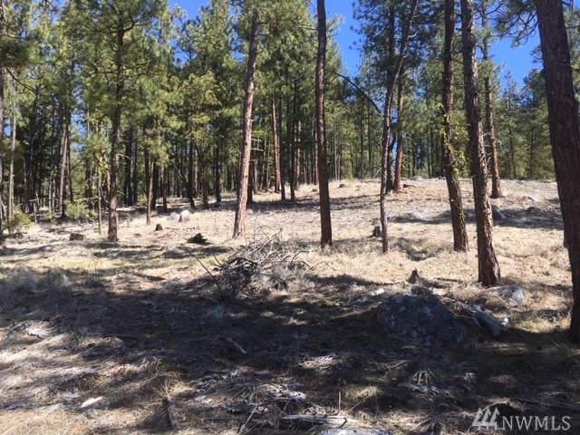 1089 Lot #7 Okanogan River Ranch - Photo 1 1089 Lot #7 Okanogan River Ranch - Photo 1