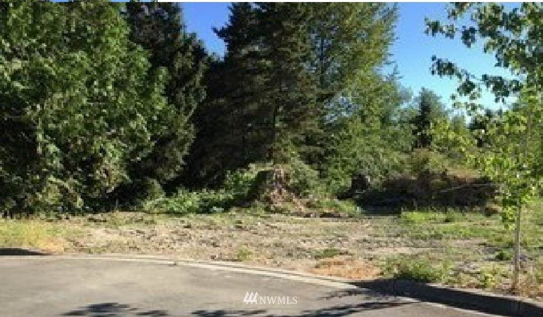 535 163rd Lane - Photo 1