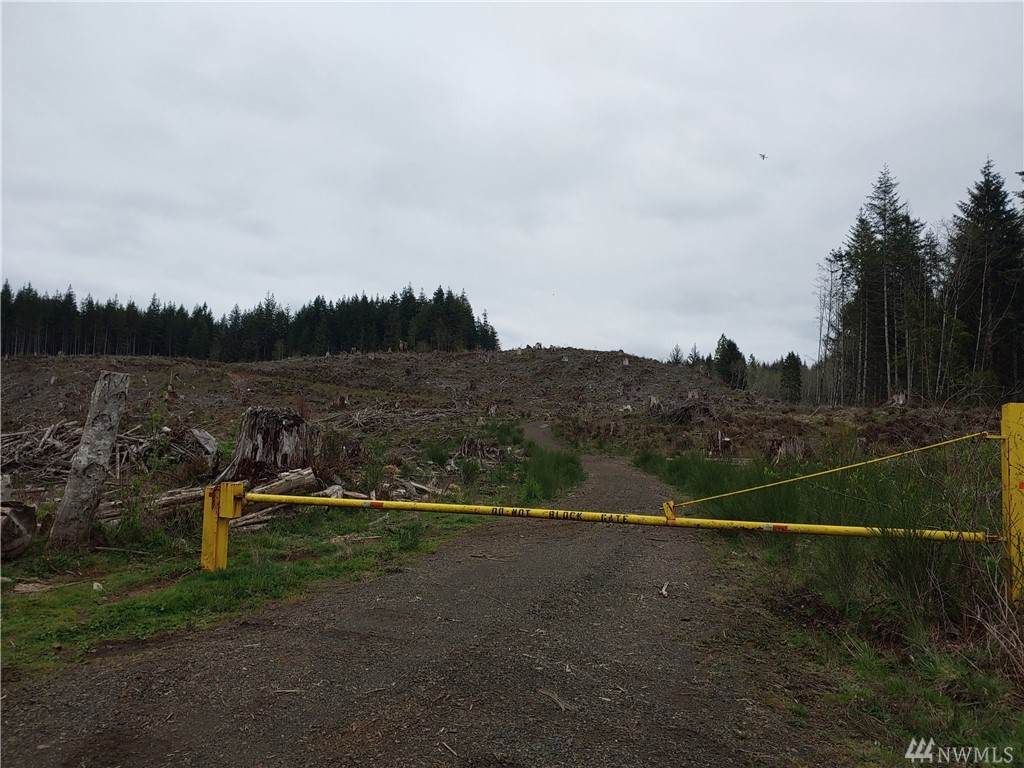 0 Hoquiam Rd - Photo 1 0 Hoquiam Rd - Photo 1