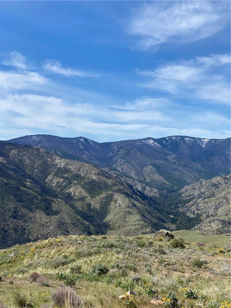 0-Lot 52 Lariat Lp - Photo 1 0-Lot 52 Lariat Lp - Photo 1