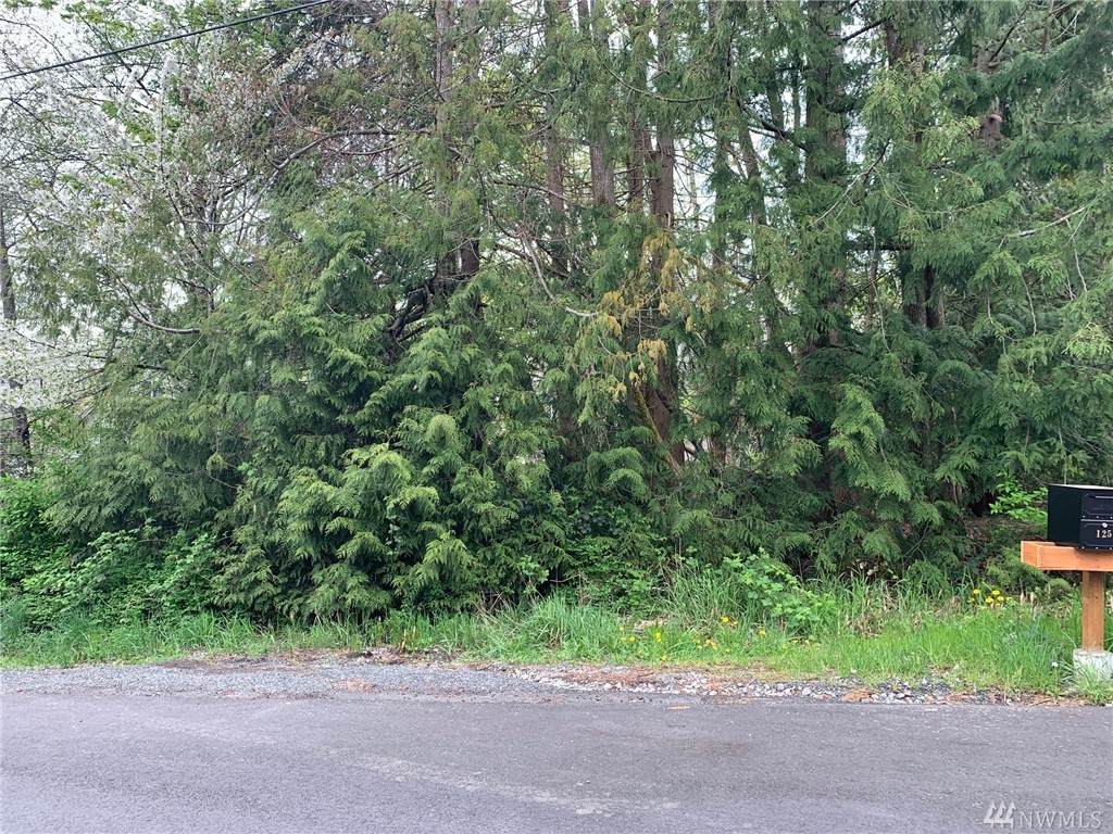 0 Ashley Avenue - Photo 1