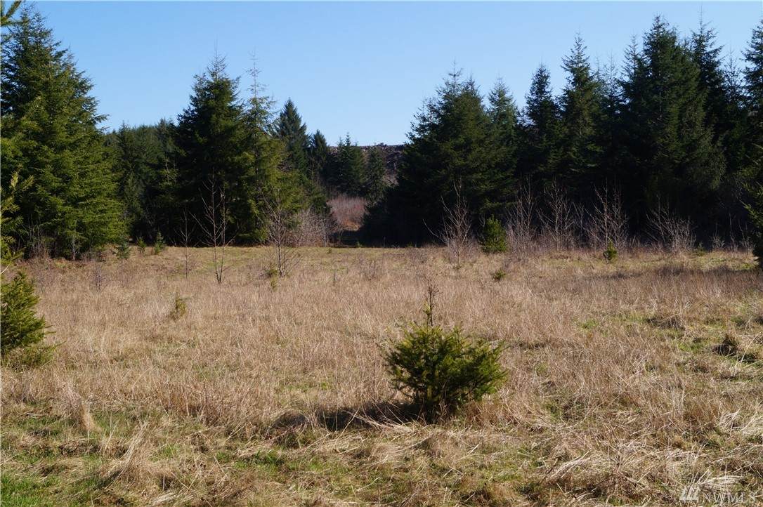 2777 East Hoquiam Rd - Photo 1 2777 East Hoquiam Rd - Photo 1