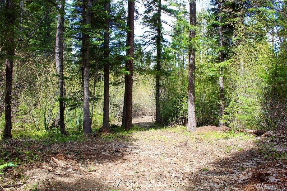 0 Spring Creek Rd - Photo 1 0 Spring Creek Rd - Photo 1