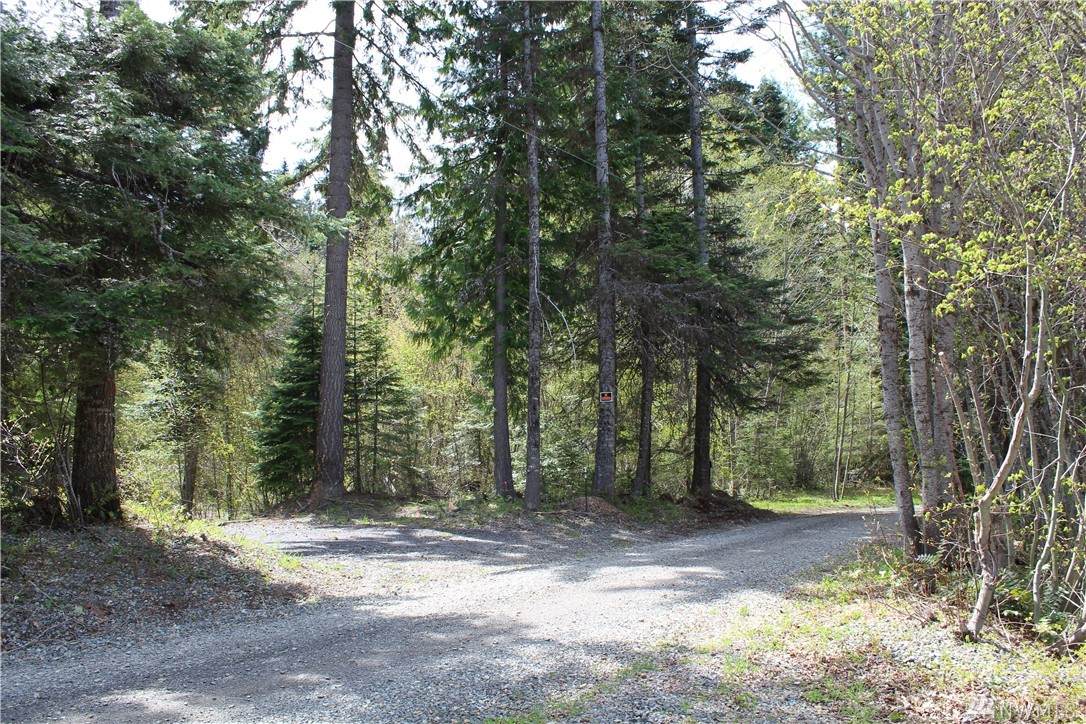 0-Lot 1 Spring Creek Rd - Photo 1 0-Lot 1 Spring Creek Rd - Photo 1