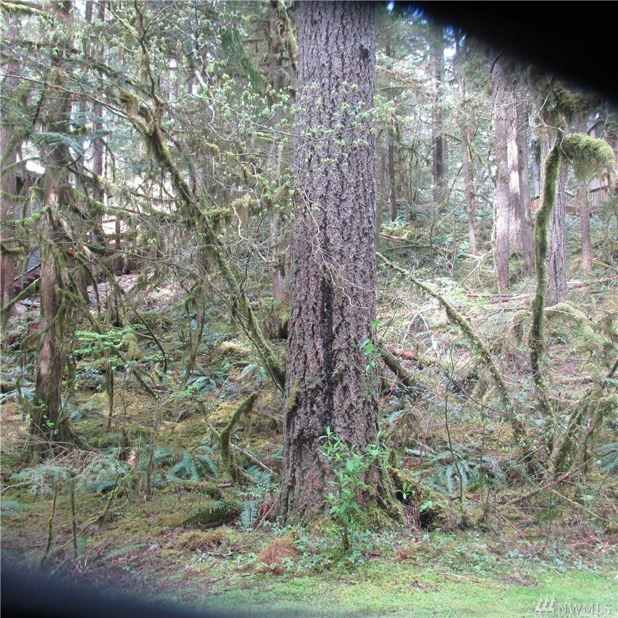 6947 Glacier Peak Dr - Photo 1 6947 Glacier Peak Dr - Photo 1