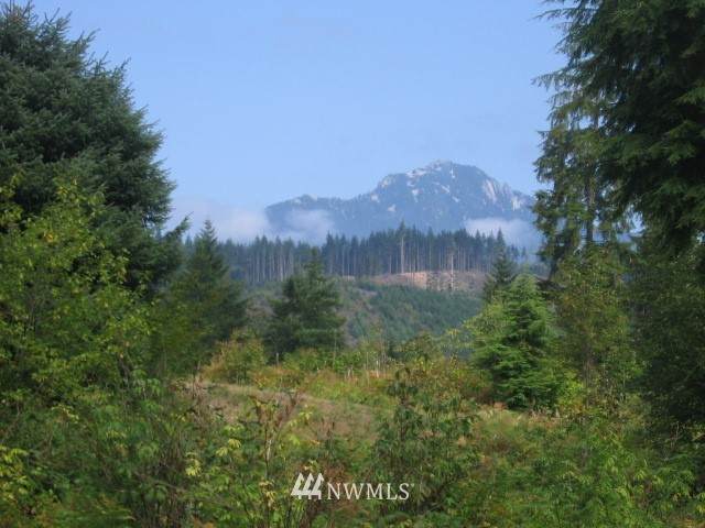 4508 224th Avenue - Photo 1