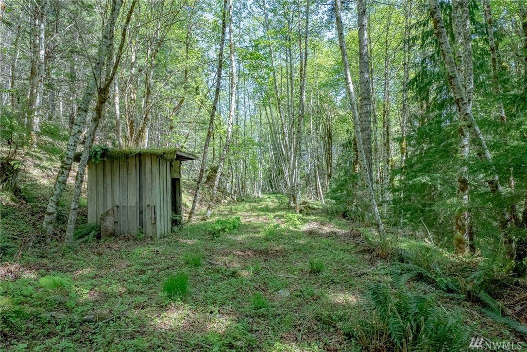 741 Dow Mountain Rd - Photo 1