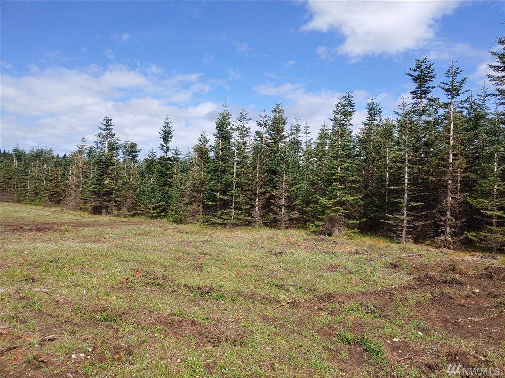 5 Noble Fir Lane - Photo 1