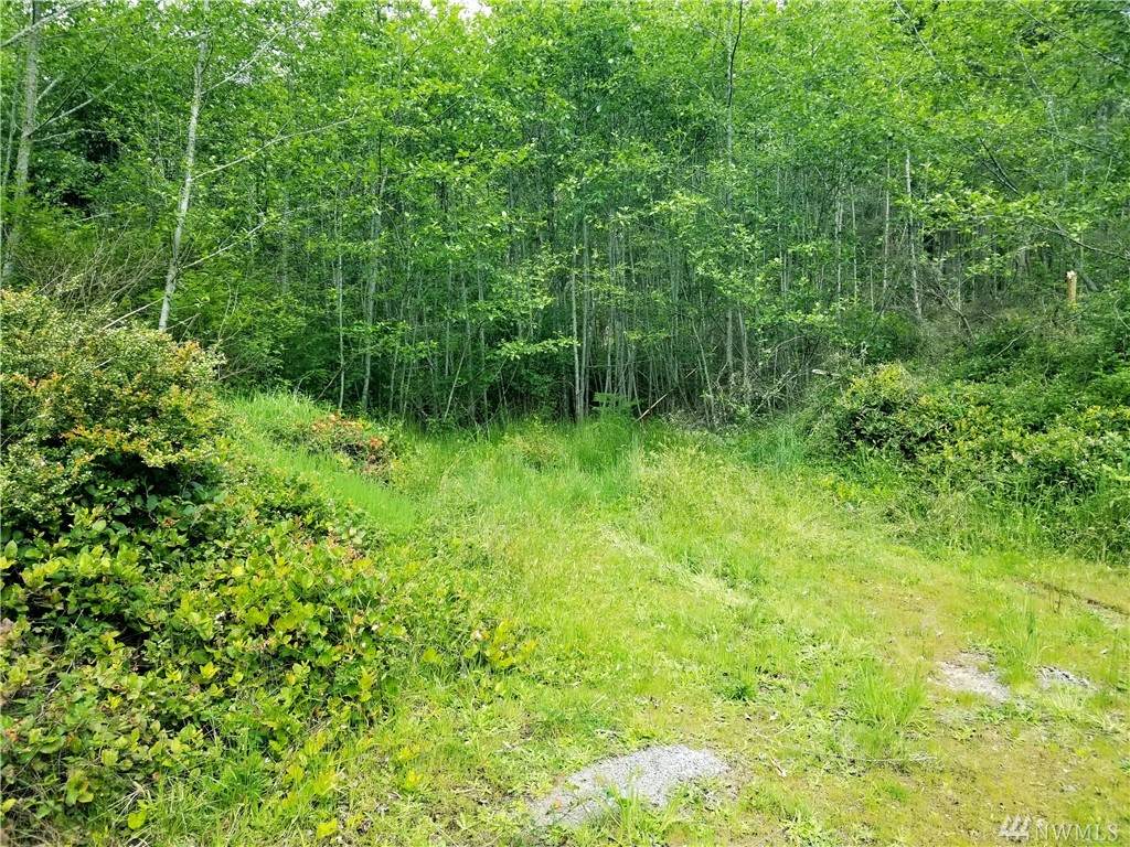 25-xx Sunset Ridge Lane - Photo 1 25-xx Sunset Ridge Lane - Photo 1