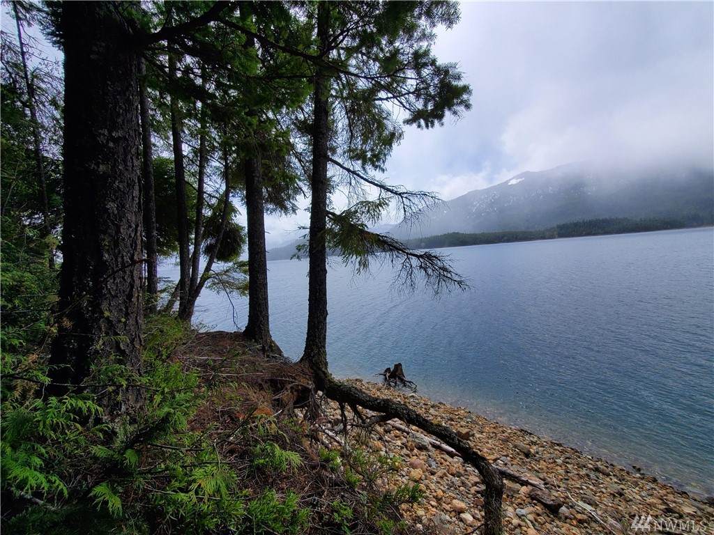0-XXX E Kachess Rd - Photo 1 0-XXX E Kachess Rd - Photo 1