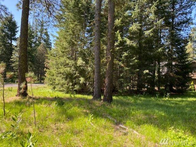 930 Snowberry Lp - Photo 1 930 Snowberry Lp - Photo 1