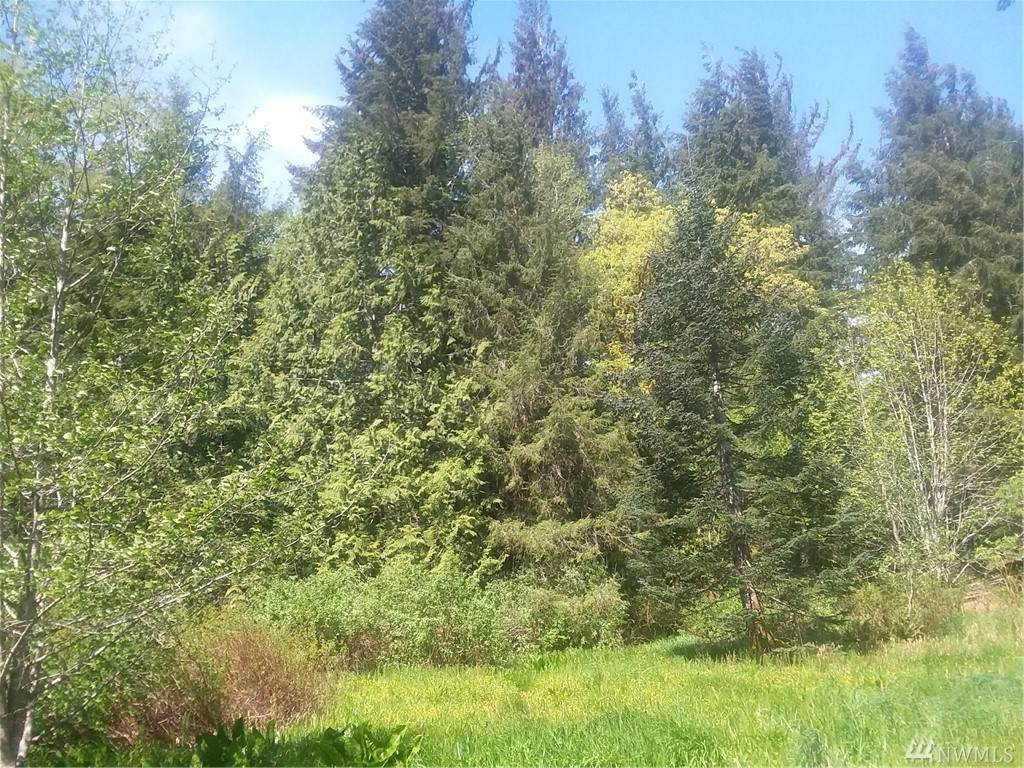 0-nka Hoko/Ozette Rd - Photo 1