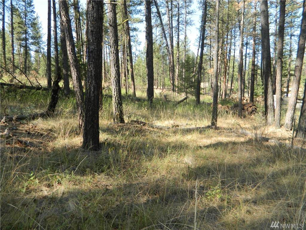 15 Gooseberry Wy - Photo 1 15 Gooseberry Wy - Photo 1