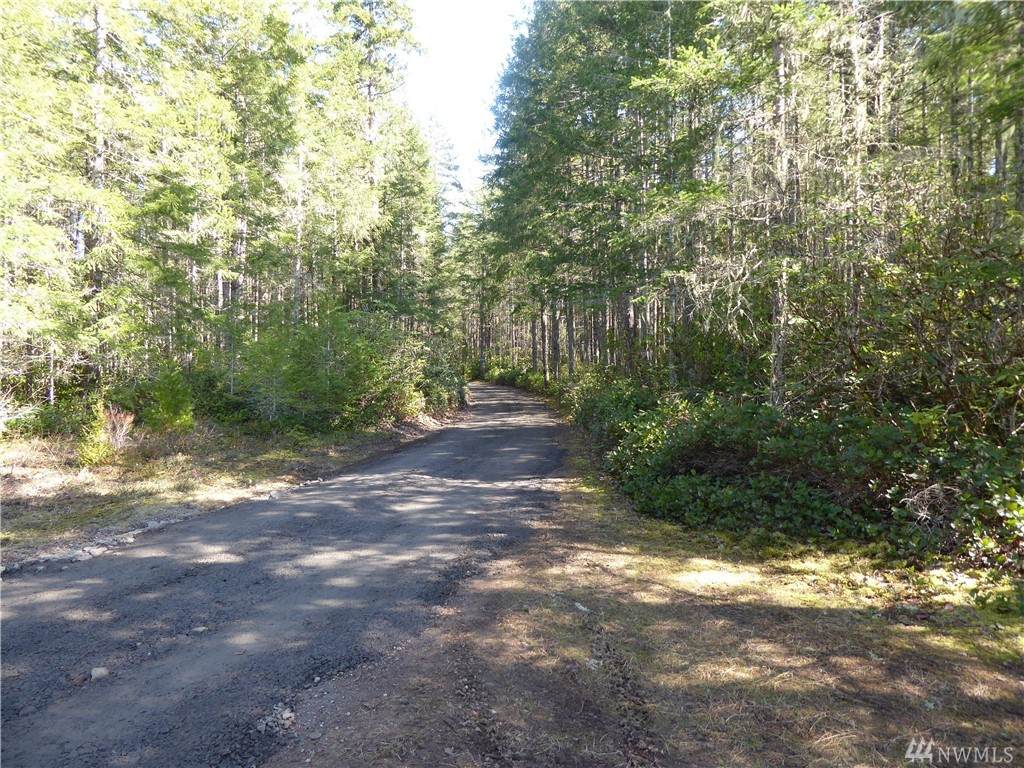 1 Wilderness Ln - Photo 1