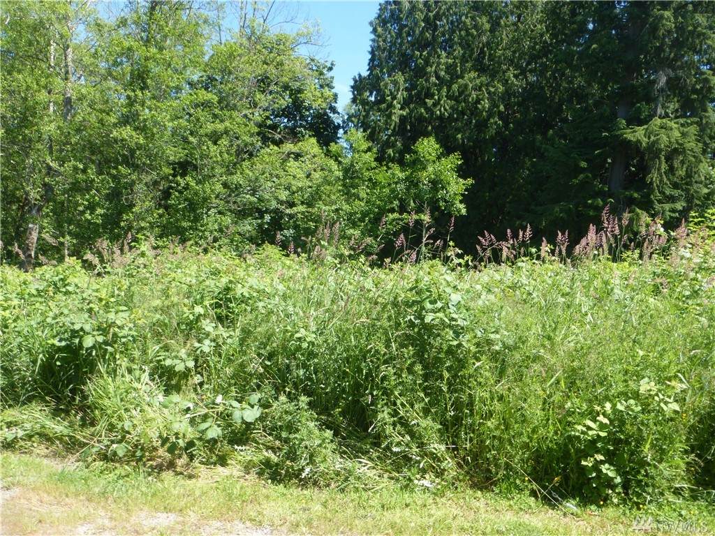 24068 Nookachamp Hills Dr - Photo 1 24068 Nookachamp Hills Dr - Photo 1