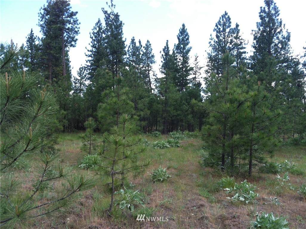 0 Highway 291 - Photo 1