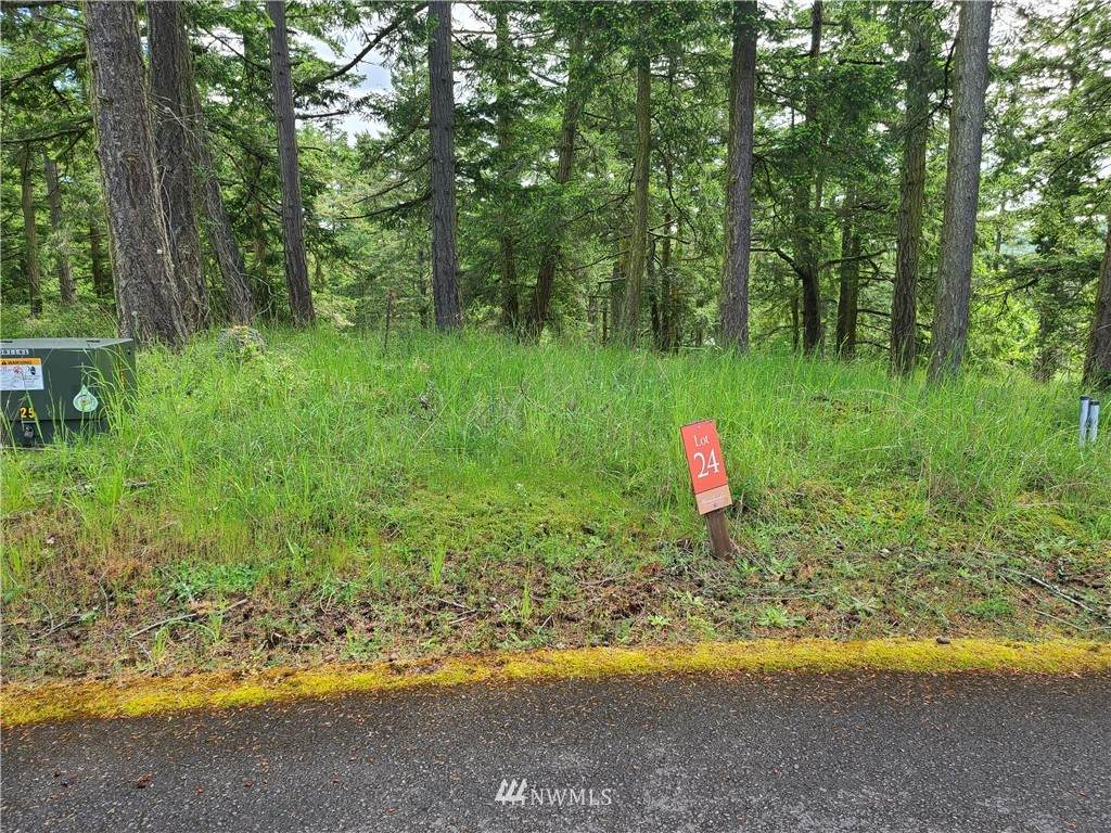24 Mossyrock Road - Photo 1