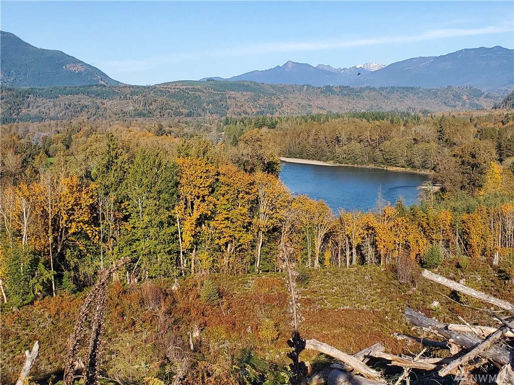 0 S. Skagit Highway - Photo 1 0 S. Skagit Highway - Photo 1