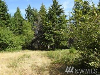 321 Goat Creek Lane - Photo 1 321 Goat Creek Lane - Photo 1