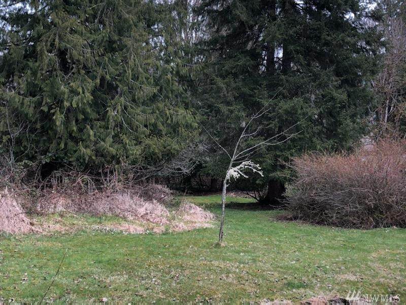 0 Reese Road - Photo 1