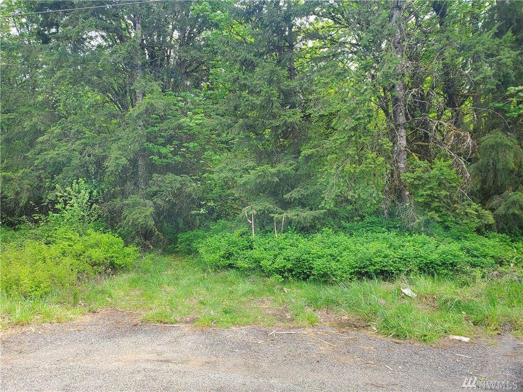 0 Avery Rd - Photo 1 0 Avery Rd - Photo 1