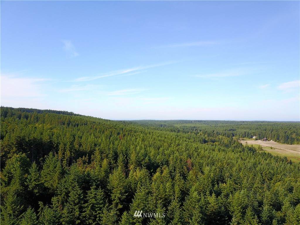 11660 Discovery Ridge Road - Photo 1