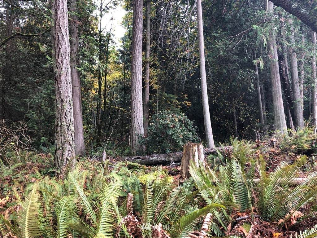 1861 Austin Road - Photo 1