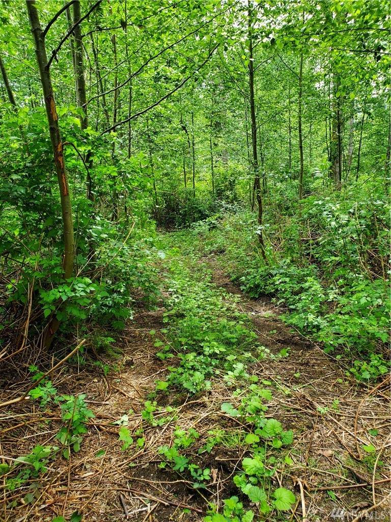 0 Elk Run Dr - Photo 1 0 Elk Run Dr - Photo 1