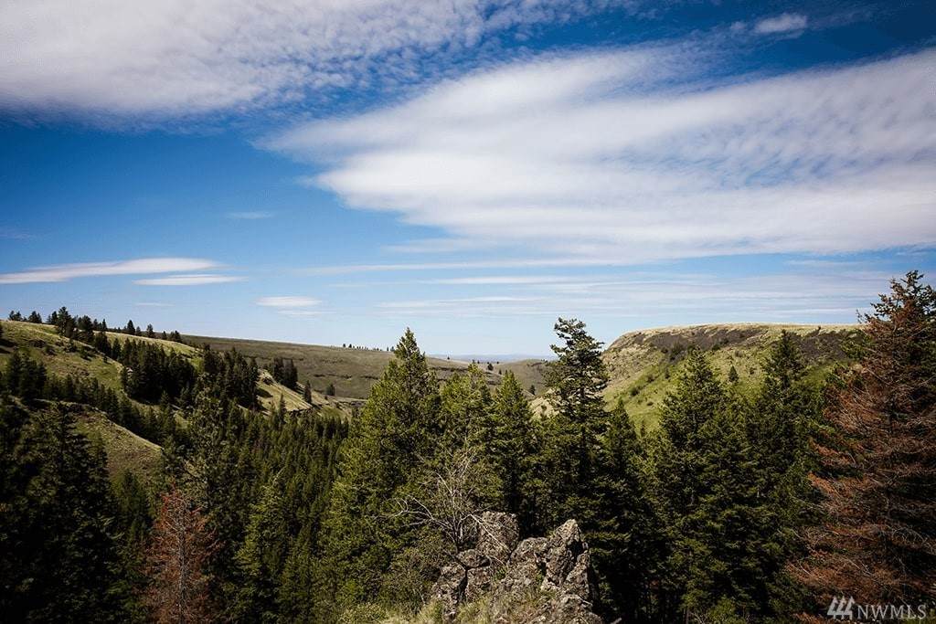 28544 Cloverland Rd - Photo 1