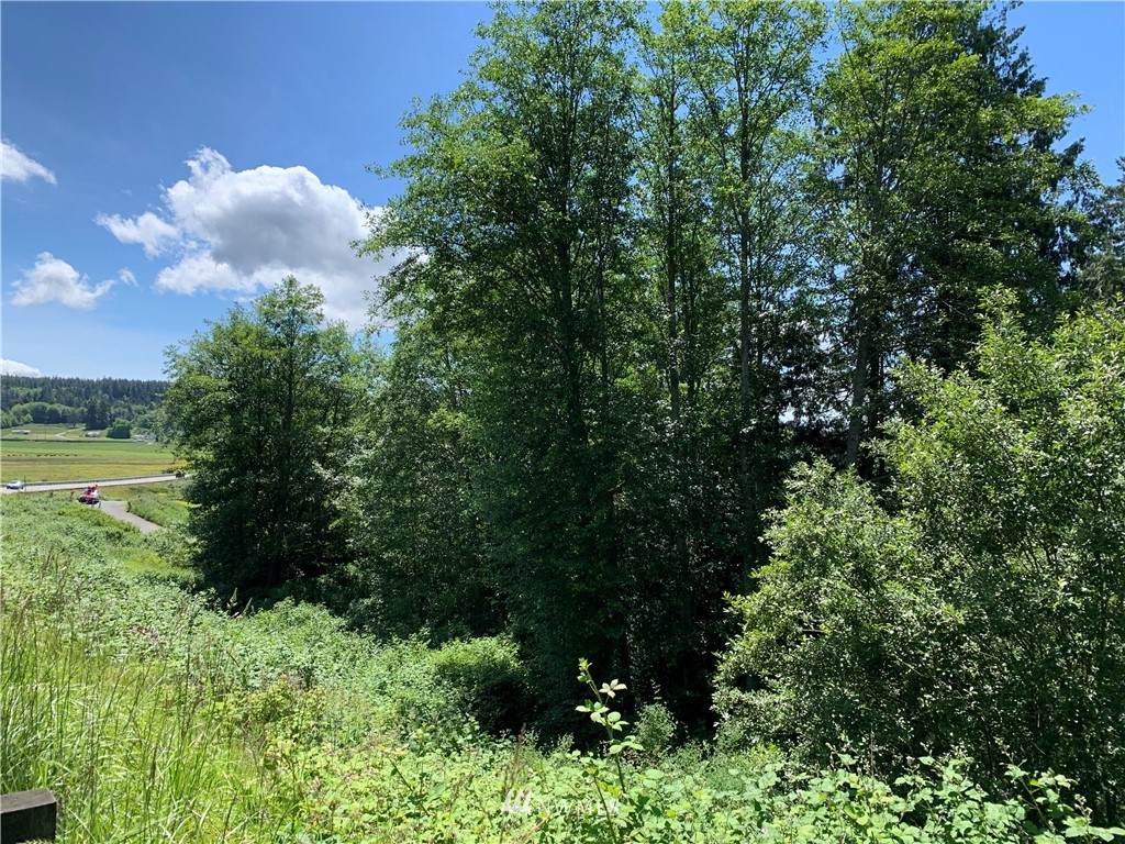 0 Hwy 20 - Photo 1