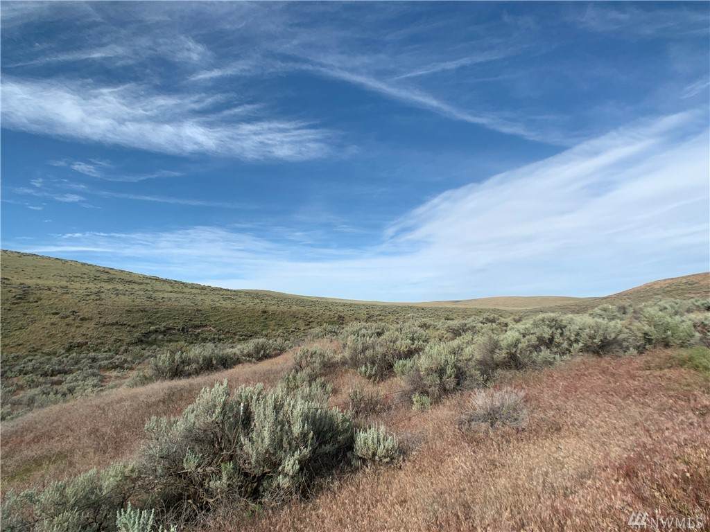 0 Sagebrush Flats Road - Photo 1