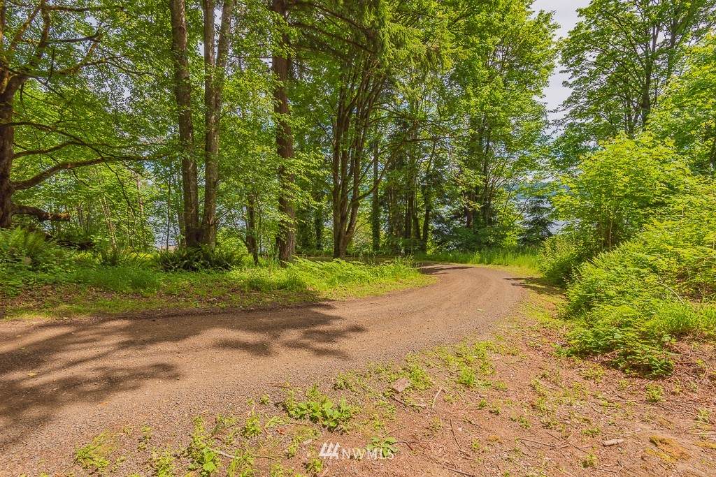 5651 Wilson Creek Road - Photo 1