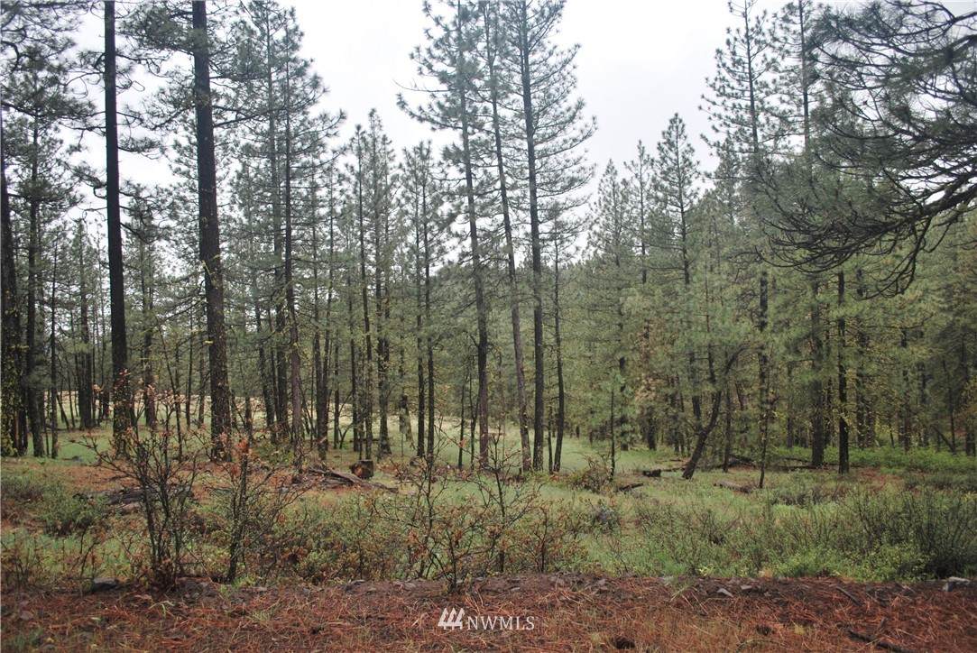 400 Box Canyon Road - Photo 1