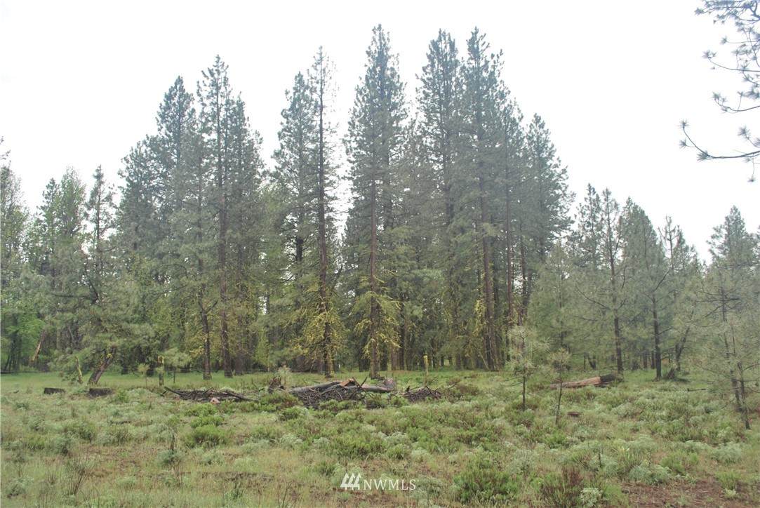 300 Box Canyon Rd - Photo 1