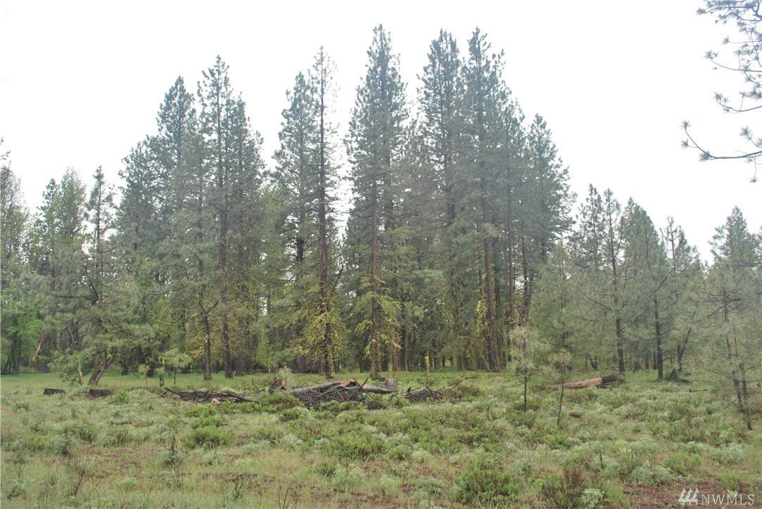 300 Box Canyon Rd - Photo 1