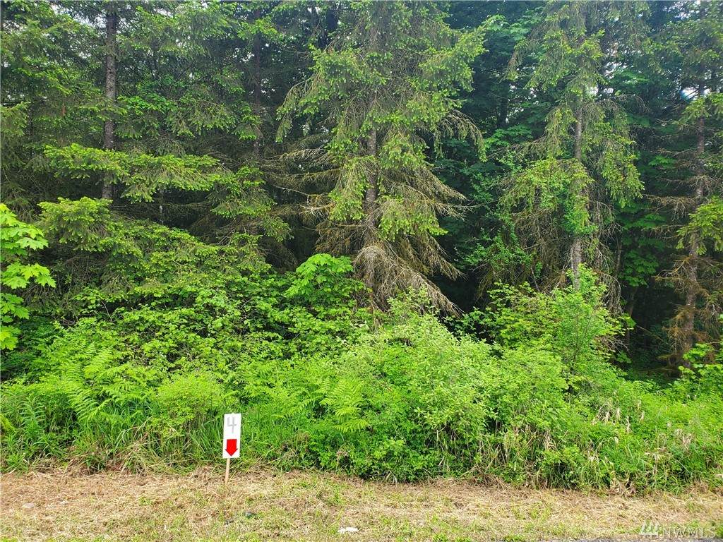 259 Avery Rd - Photo 1