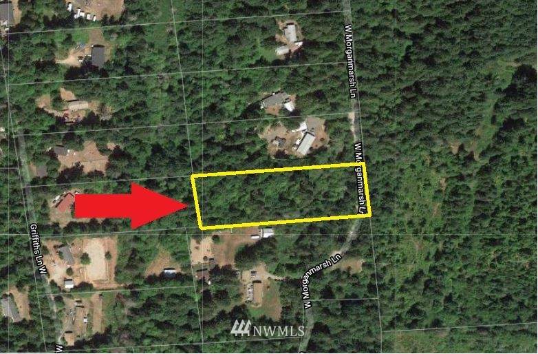 0 Morgan Marsh Lane - Photo 1