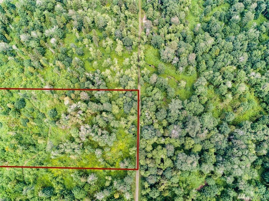 21 Country Woods Lane - Photo 1