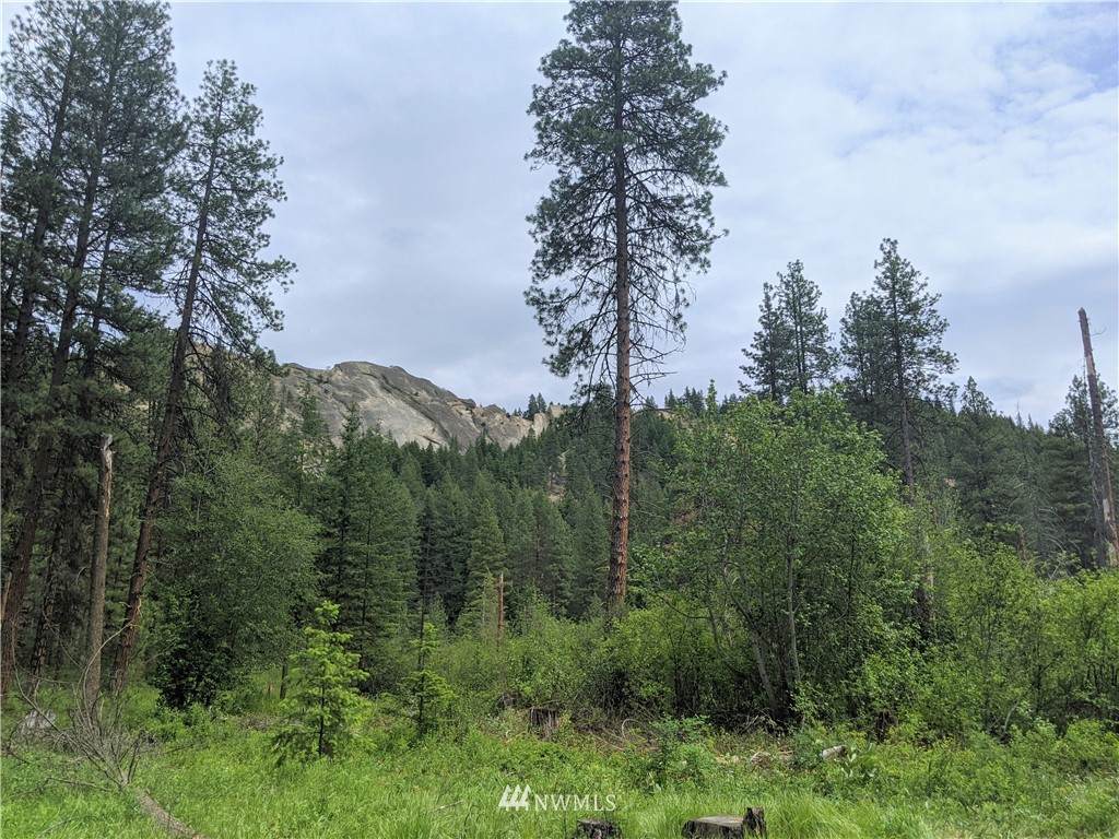 0 Mule Tail Flats Road - Photo 1