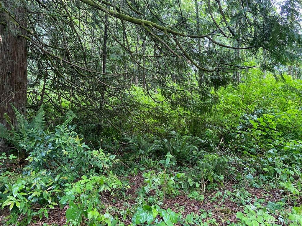 8337 Vandecar Road - Photo 1