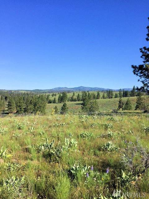 0 Evergreen Camp Rd - Photo 1