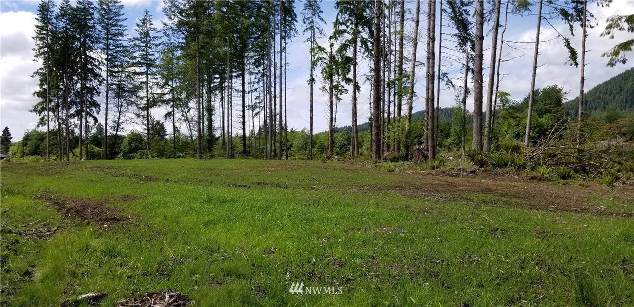 0 State Rt 4 Lot 1 - Photo 1