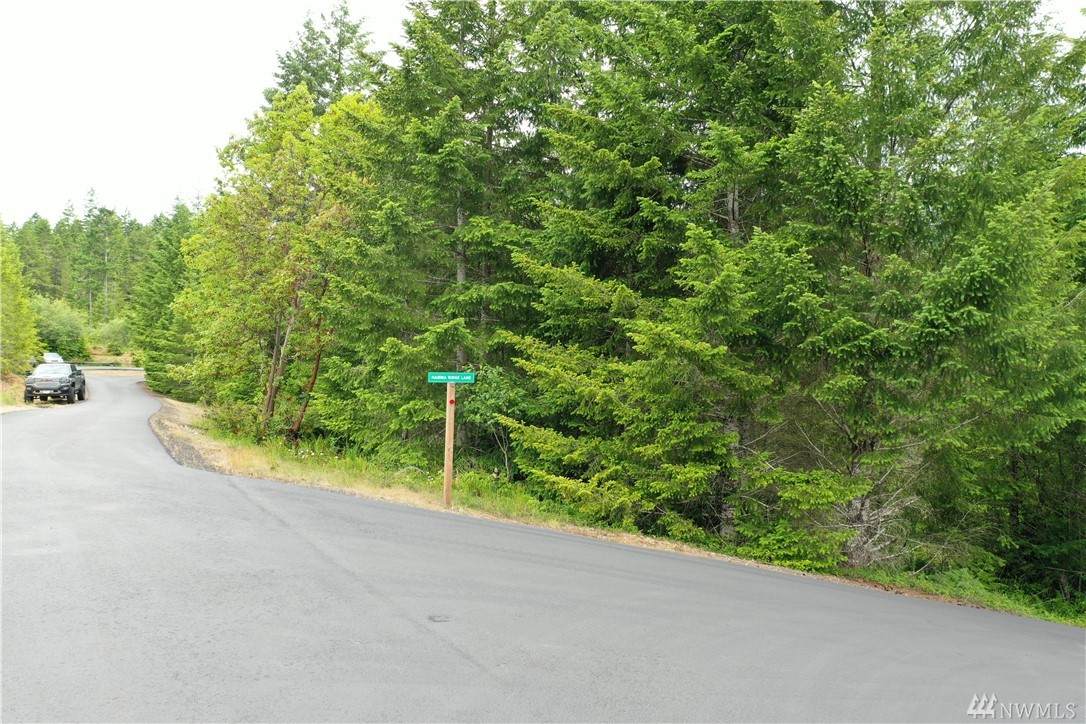 0 Hamma Ridge Dr - Photo 1