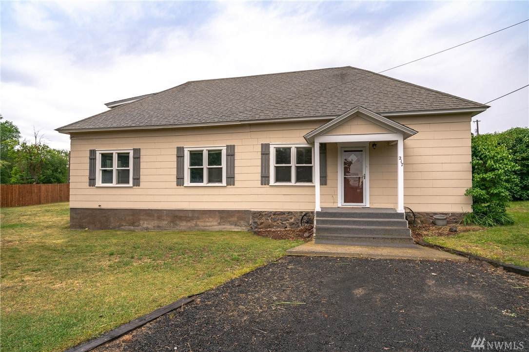 217 Chestnut Street - Photo 1